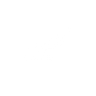 DSTORESS